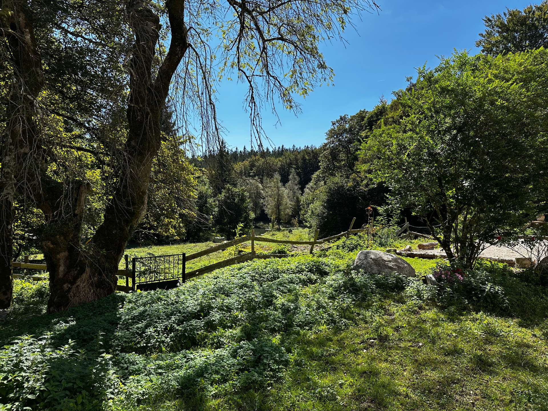 Vue depuis le gîte