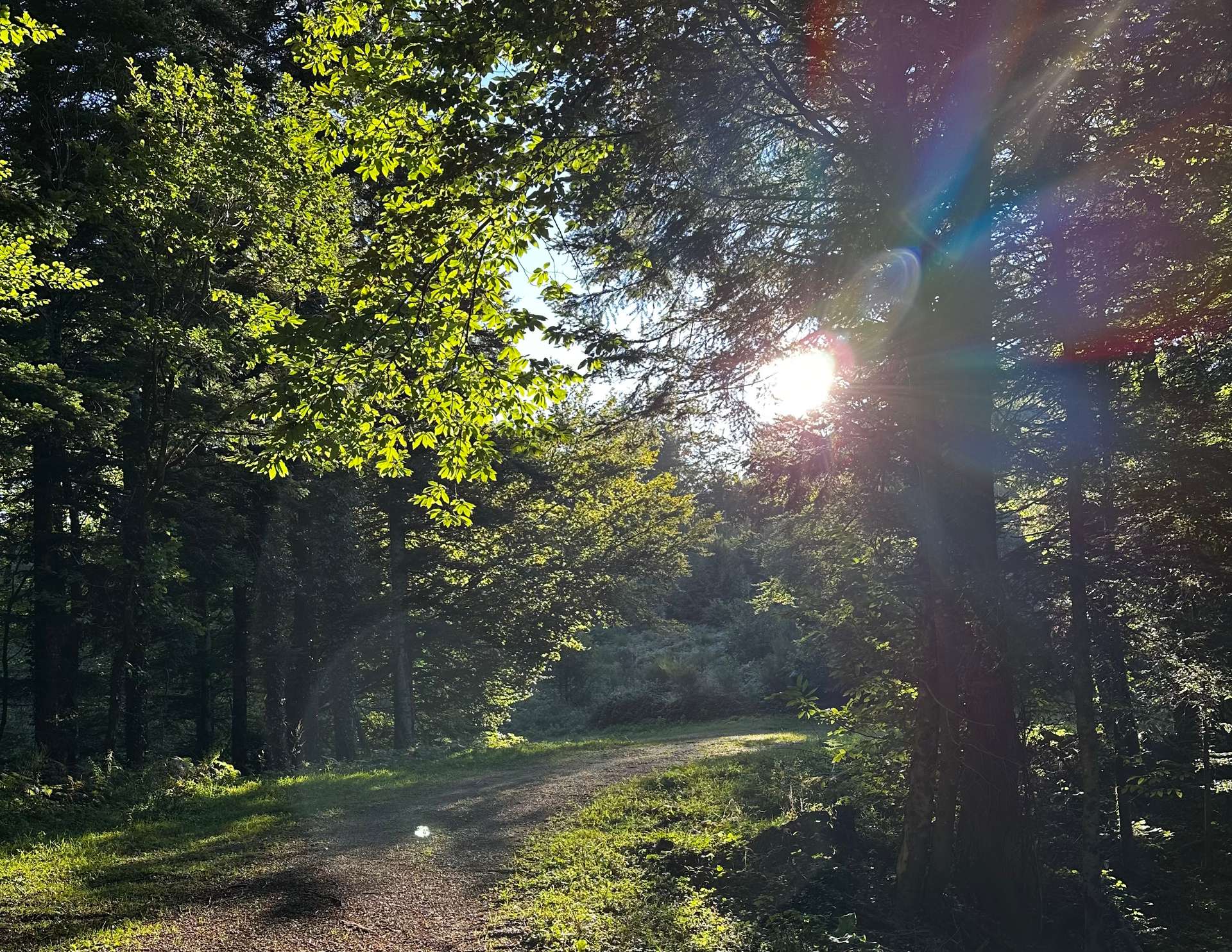 Sur le chemin entre Font Bruno et Labruiguière